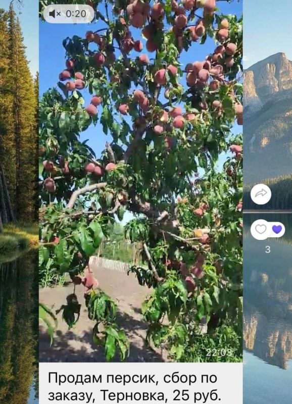 ������� �� 25 ������ �� ��������� ������� � �������� �����