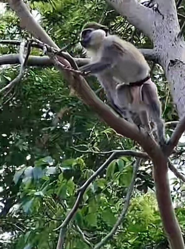 � ��������� ����� ������ �������� ���������, ���� �������� ��� ����������