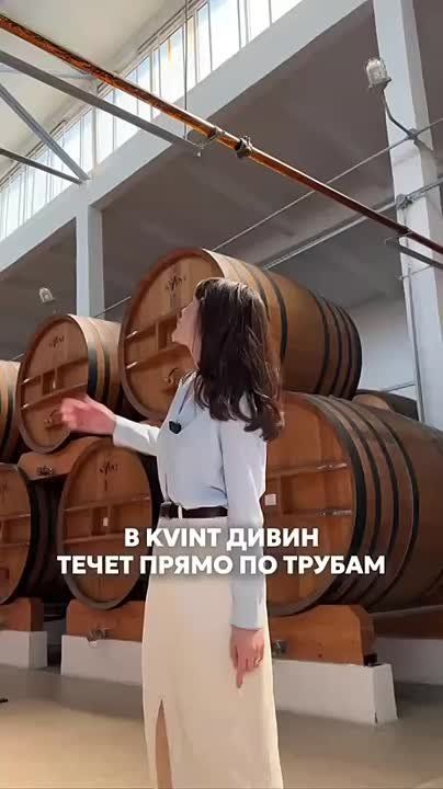 �� ������ �KVINT� ����� ����� �� ���������� ������