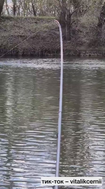 ����� ������� ���-��� � ������� ��� ������ �� �������