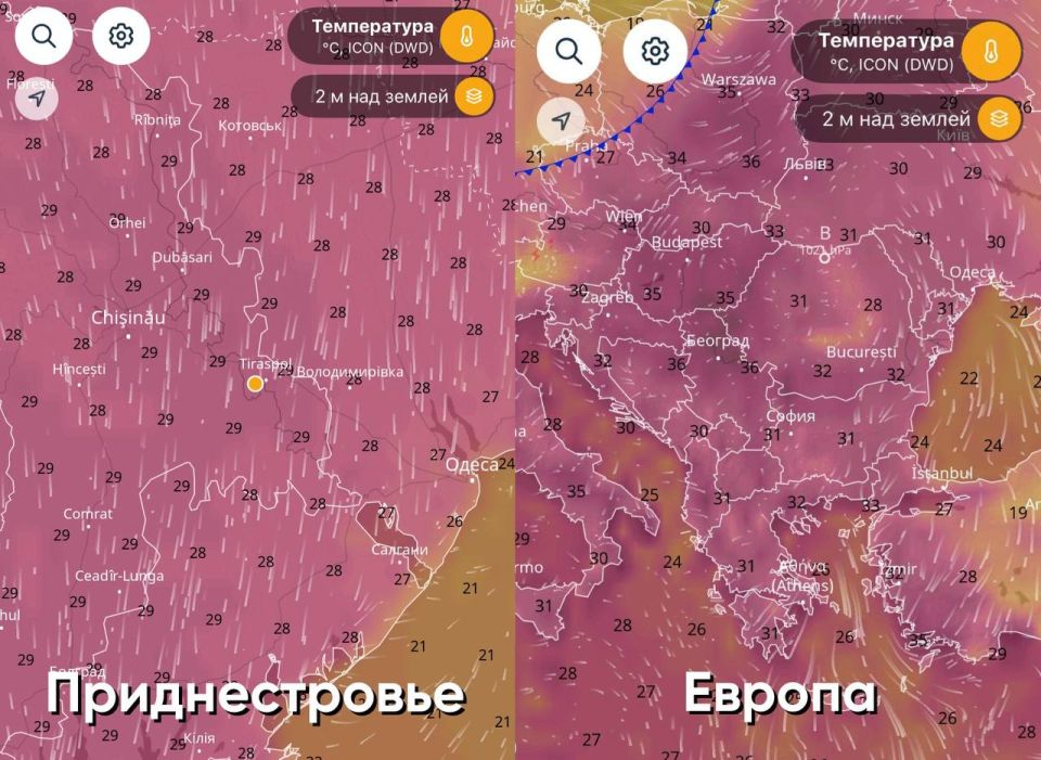 �� ������ � ������� ������������� � ������� ���� �� ����