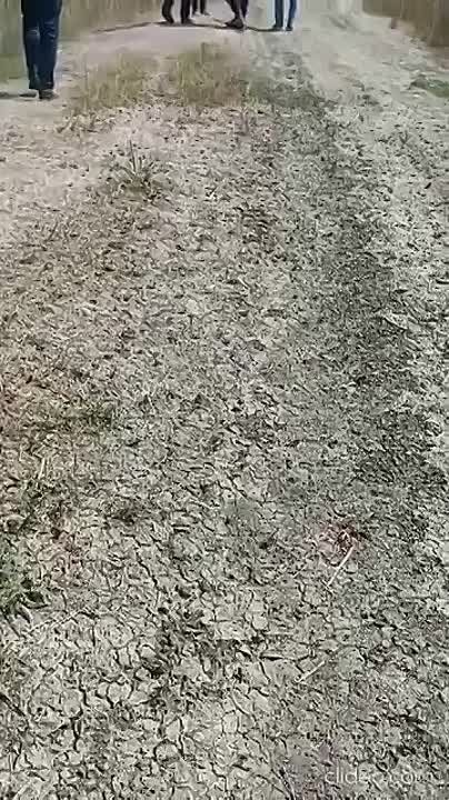 ������� ����� ������� ��������, � ���� ��� ��������� ���������� � ���� ������