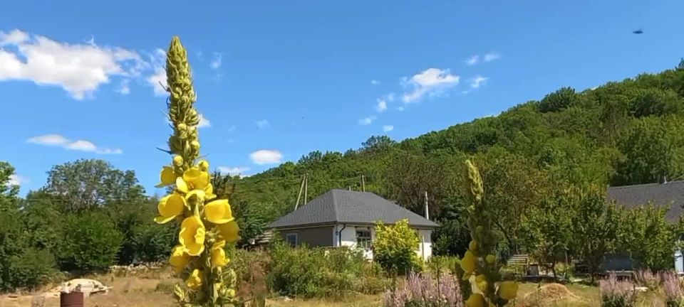 ��������� ��� � � ������� ������� ����� �������� ���