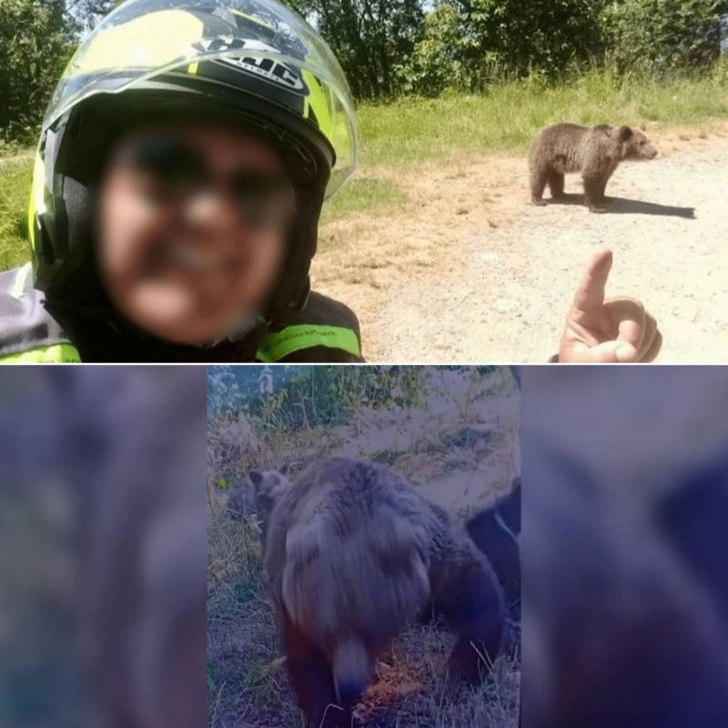 &quot;          &quot;