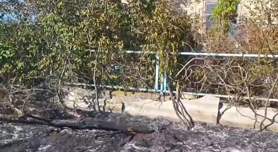 ����� ����� ���������� � ������ ������ ����� � ���������������� ��-�� ���� �� ��������, ����� � ��� ������� ������� �� ����� ����