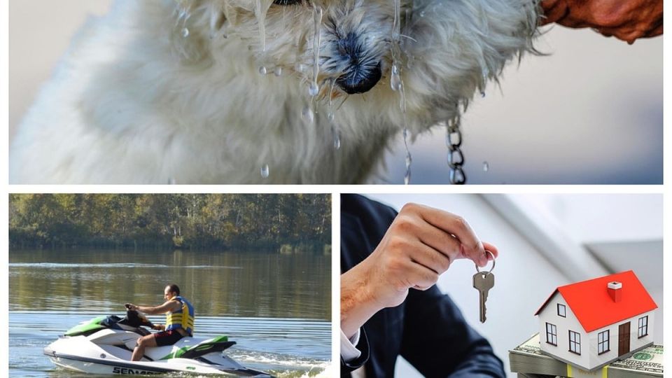 ���-5 ������� �������� � ������� 5 ���� 2025: �� ������� ����������� ����� �� +40 ��������; ������ �������� � ������������� - ��� ����� �������, ������� �� ���������� �� �������; ������ ������ ������ ������ �������� ������������ � �������