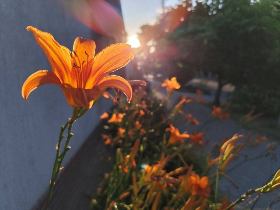 ��� �������� ��������� ����� �� ����� �� � ��, �������, 5 ����, ��������� ���������� ����������, ����� ������� ��������������� �����