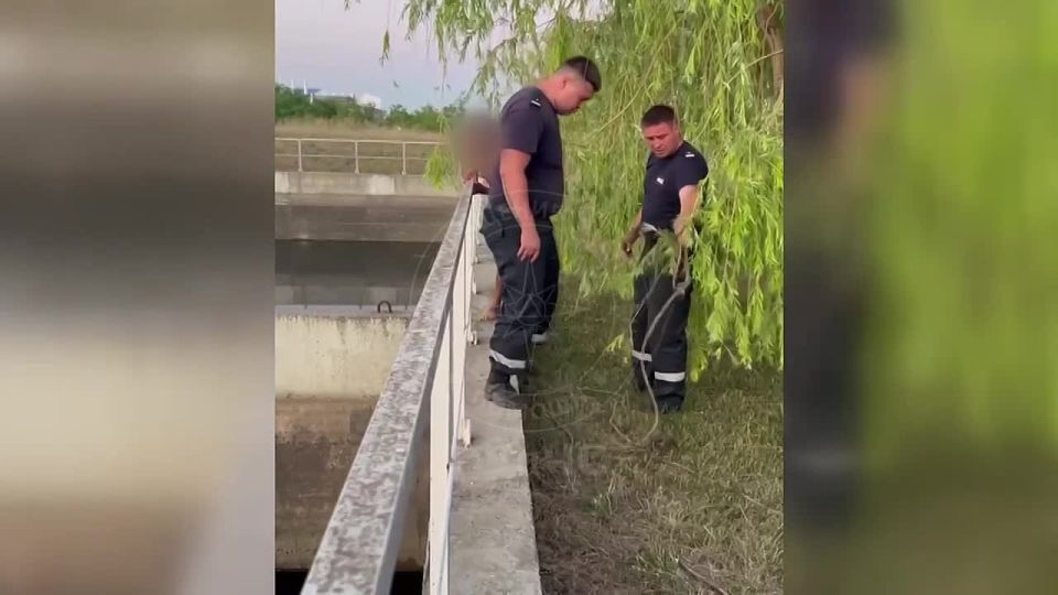 ��������� �������������� ������� � ����������� ������� ����� ������������ �������, � ��������� �� ����