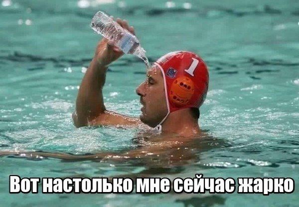 ������� ��������� �� ����� ������������