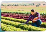 � ������������� �������-����������� �������� �������� ����� �� ������������� �����������