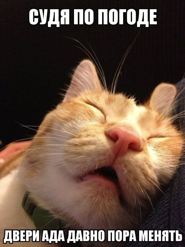 ������������� ������� ���������� �� 40 ��������, ������� ���������