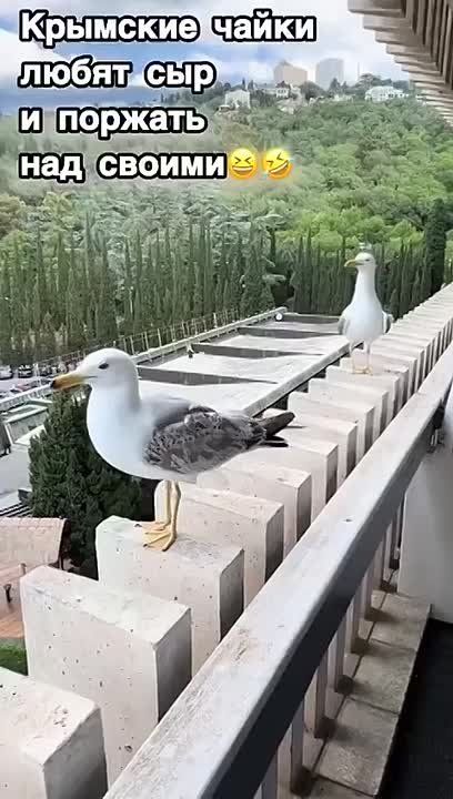 � ����� ����� ��� ����� ���� �� ������ �� ������� ����