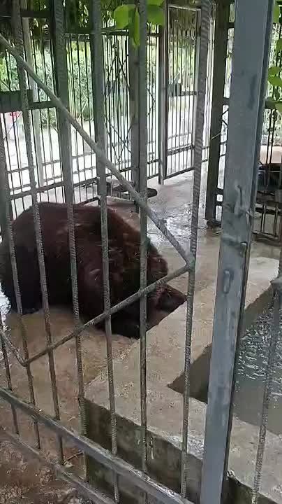 ��������� ���� �� ������������� �������� �������� ���� �� ������ "�������"