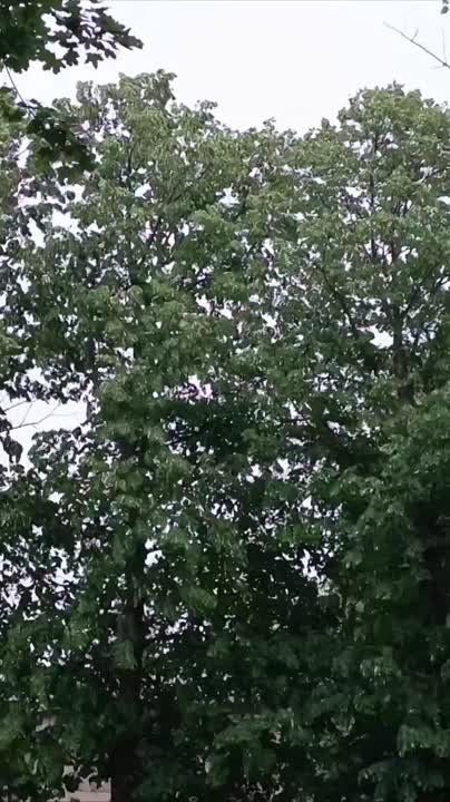 В Каменке уже дождь и гром