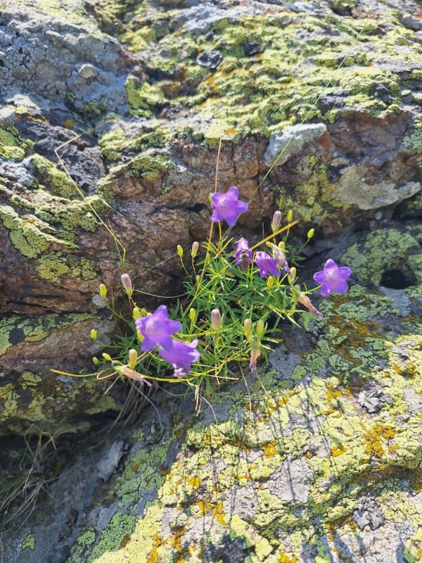 ��� �������� ��������� ����� �� ����� �� � ��, �������, 9 ����, ��������� ���������� ����������, ����� � ���� �������