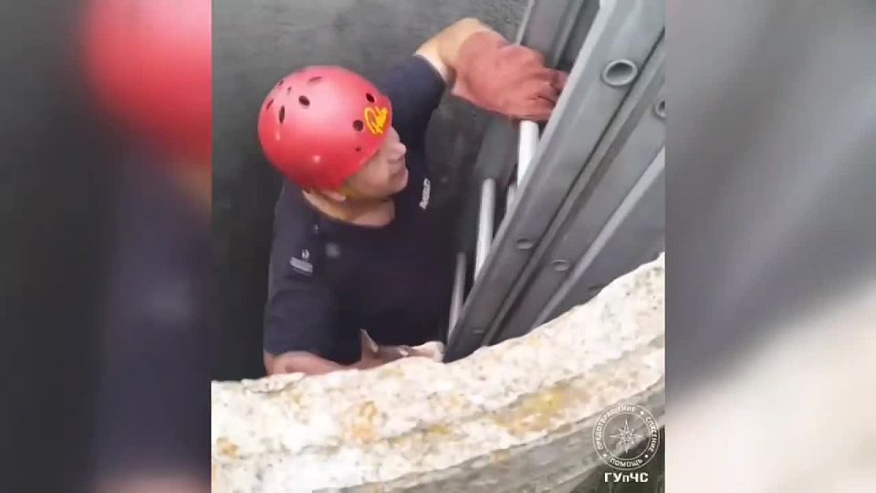   ,   ,     