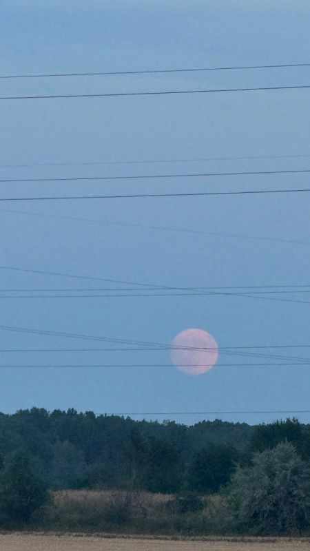 ���������� ������� ���� ��� ���������� �� ����