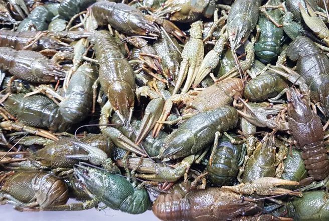 � �������� ��� ������ �������� ����� 300 ������������� ����� �� �������