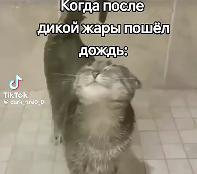 ��������� ��������������. ��������������� �������������: ������� ������� � ����� � ������������� ��������� ��������������� ����� � �������