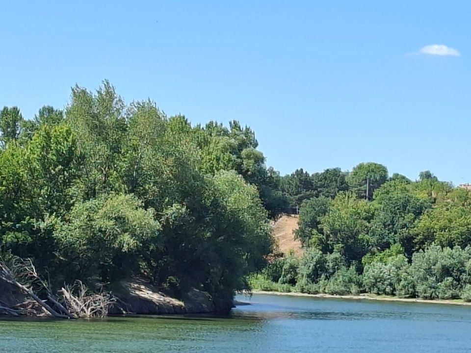 � �������� ������������ �� ���� - ��������� ����� �� ����� �� � �� ������ �������