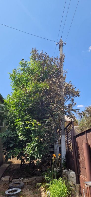 ������ �� � ������� � ����� ������� �����, � ������ ��������