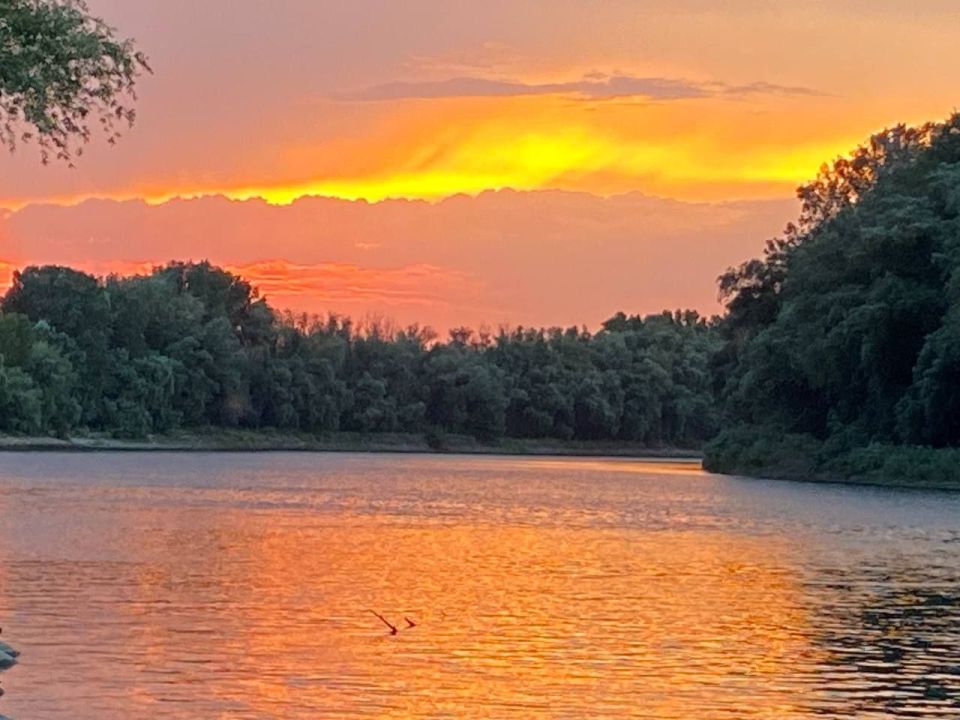 ��� �������� ��������� ����� �� ����� �� � ��, ������, 11 ����, ��������� ���������� ����������, ��� �������