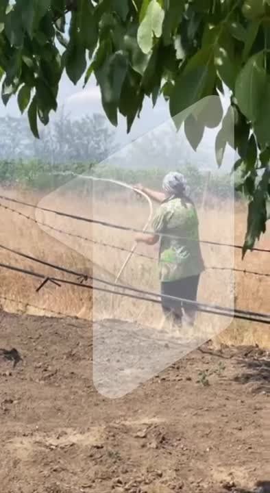 ������ ������ ��������� ������ � �������� ����� �����, ����� ����� �� ��������������� ������