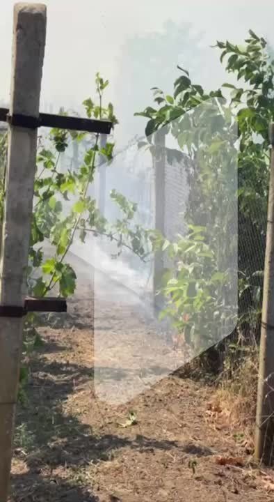 ����� ����������� �� ���-�� ������