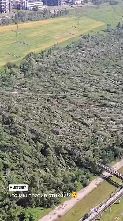 �� ����� � ����������� �������, ������� ������ ����� � ����� �� �������� ��������