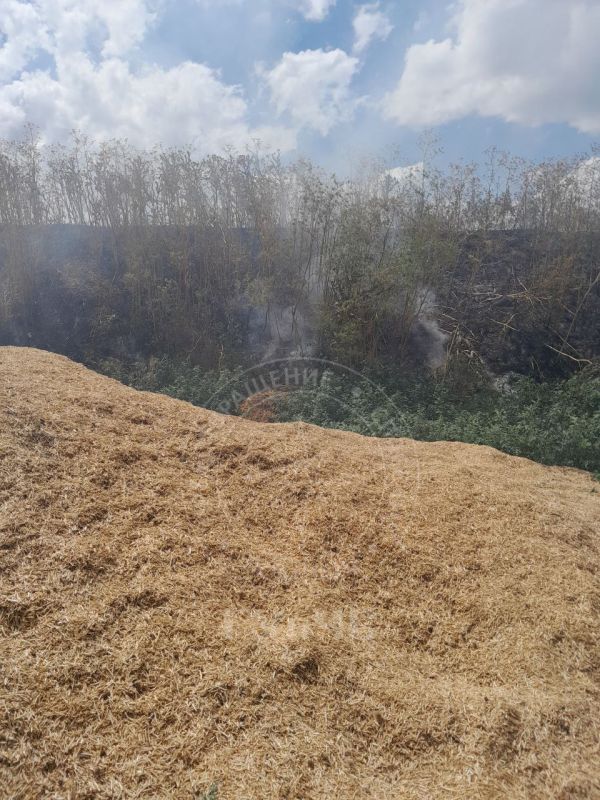 ������ �� ���� ����. 10 ���� � ���� ����� ���������� ����������������� ������