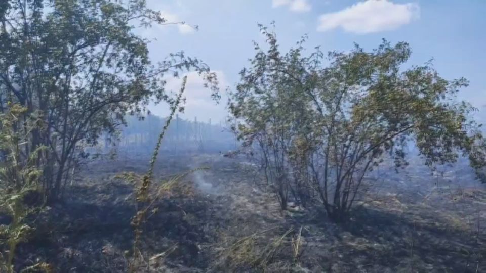 � �������� �������� �� ��������� ����� �����, ����� ����� ������� �� ������������