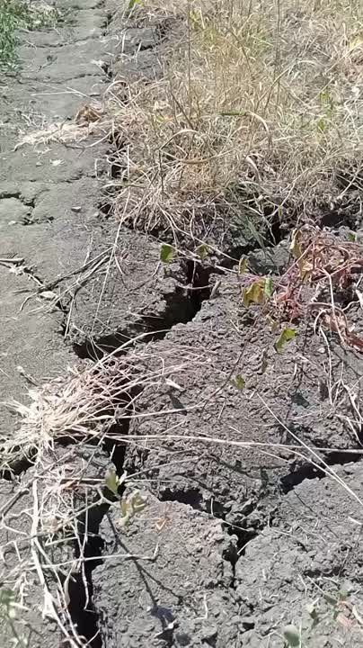 � ������ ���� ����������� �� ���� ������������ �����