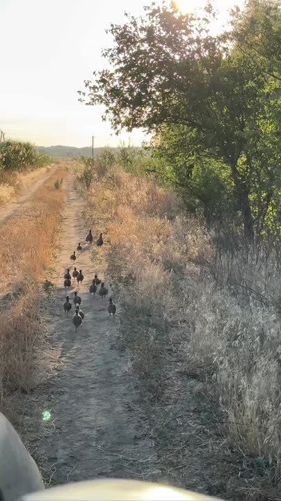 ��������� ��������� �� ��������