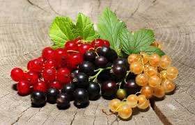 ������� � ���� ���������!. ������ �� ��, ��� ������ ��������� � 4 ���� ����� �������? ��� ���� �������� ��������� ���������� �������� C! ������, ��������, ���� ������ �����, ������������, ����� �������