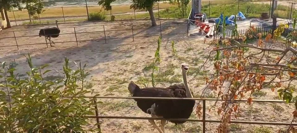 ����� �� ���� �������� ������ ��� � ����� ������ ���� ��������