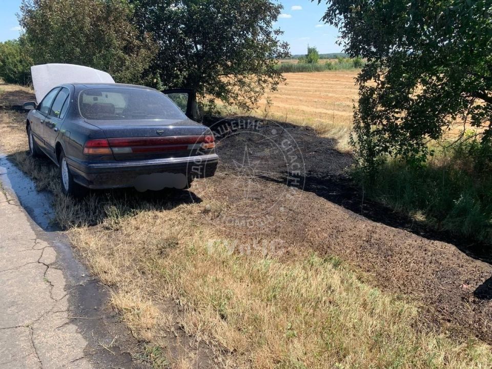 ������������� ������: ������������� �������� ������������� ��������������� ����