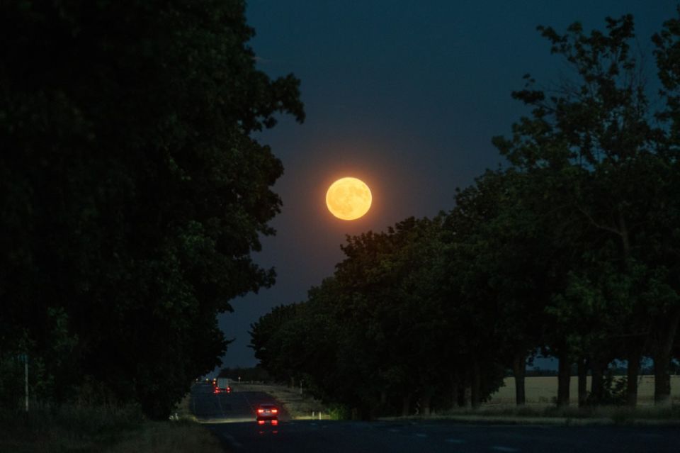 ����� ���� ����� ���� ��������� � ������������� �� ������� ������