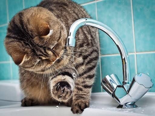 � ����� ����� ��� ����� ��������� ��� ����