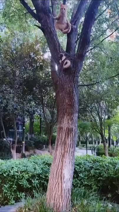 ��������. � �������� ������ ��� ���-���� ��� ����