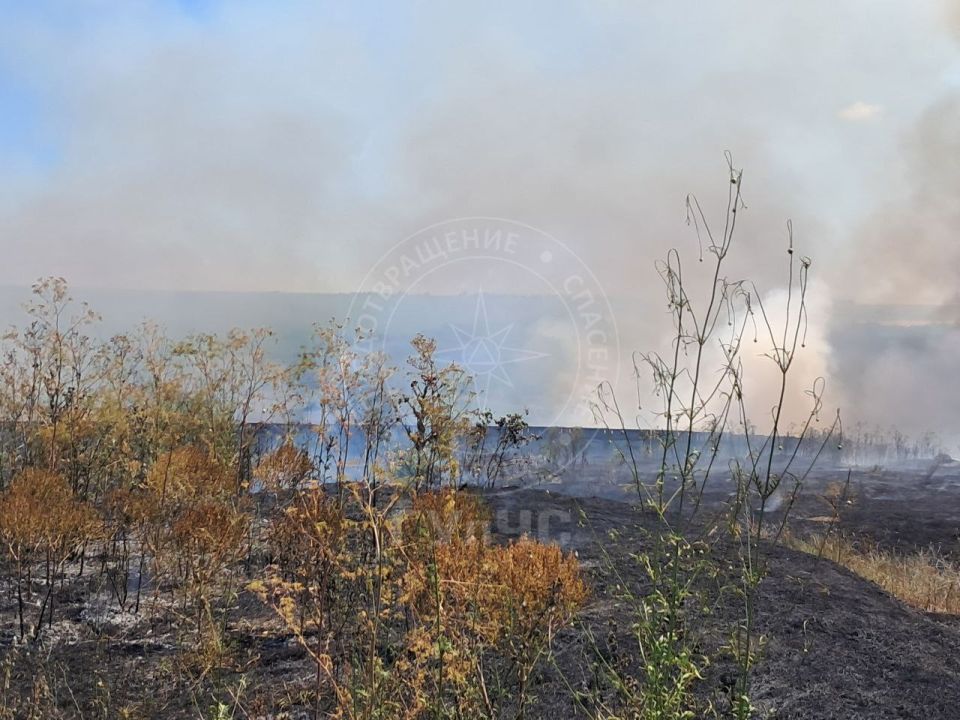 2,5 гектара сухой травы сгорели в селе Гыртоп (Григориопольский район)