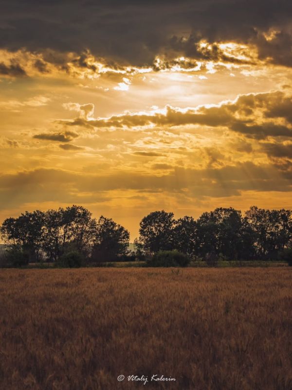 ��������������� ������ � ��� ������������ ���������