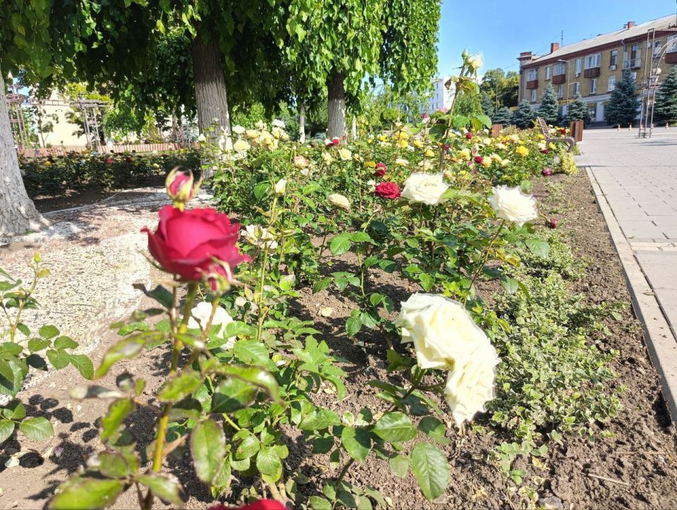 ��� �������� ��������� ����� �� ����� �� � ��, �������, 16 ����, ��������� ���������� ����������, ����� ��� �������