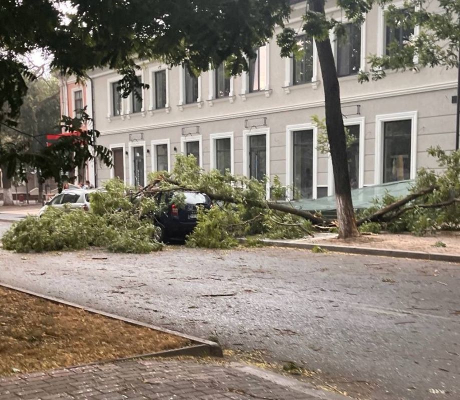 ��� ���� ������ � �������� ������� ������