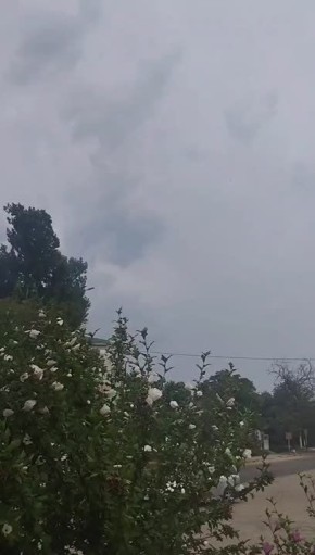    :  ,      ,  
