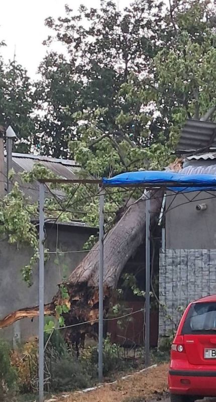 ������� ������ ����� ����� ������ � ��������