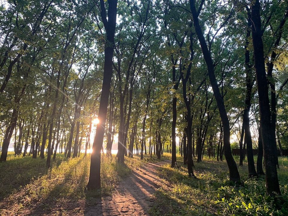 � ������������� ������������ �������������� ������