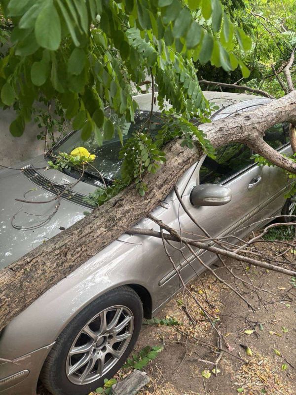 �������������� ���������� �� �������