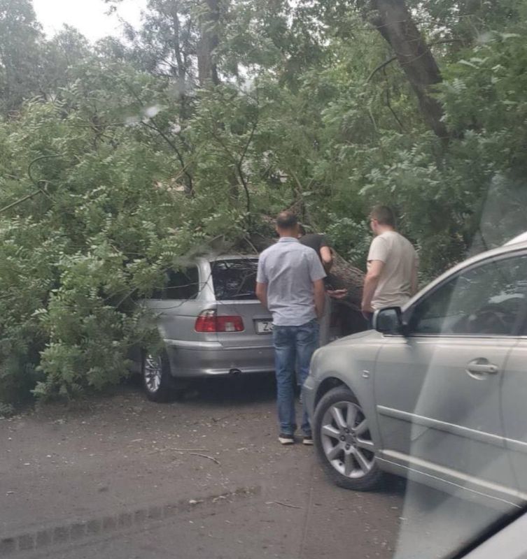 ��� ���� ������ � ��������� �� ����� ������ ������� ������� �������