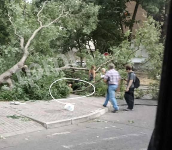 �������� ��������� ������� ����� ����������� � ��������