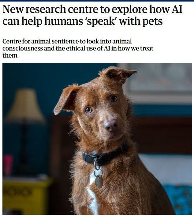 ����� ���� ������ ������������� �� ������ ��������� ��������� ��